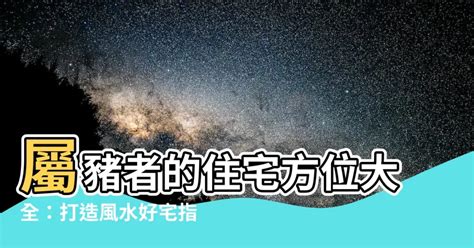 屬豬方位|適合12生肖的家居風水